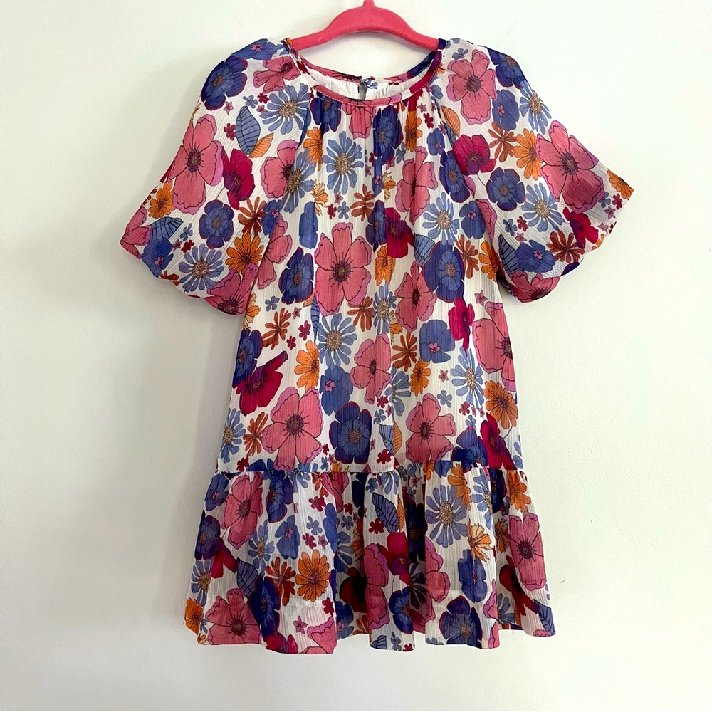 Zara Pink Tule Floral Peasant Boho Dress Sz 18 24 months spring lined Cotton